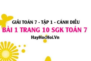 Giải bài 1 trang 10 Toán 7 Tập 1 SGK Cánh Diều